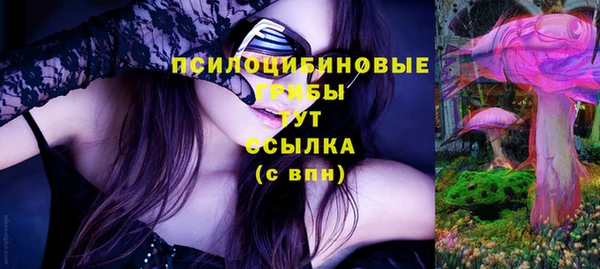 СК Балахна