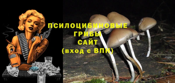 СК Балахна