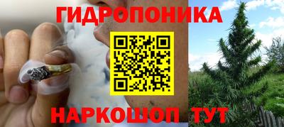 стафф Конаково