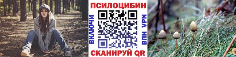 Галлюциногенные грибы Cubensis  Бирск 