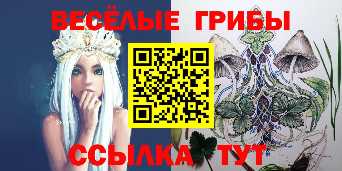 Галлюциногенные грибы прущие грибы Бирск